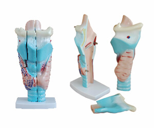 BioLab Products